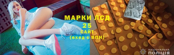 прущие грибы Новодвинск