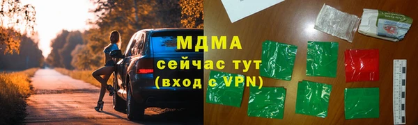 прущие грибы Новодвинск