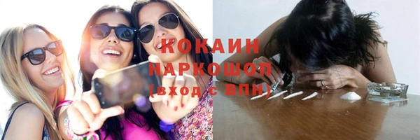 spice Новозыбков
