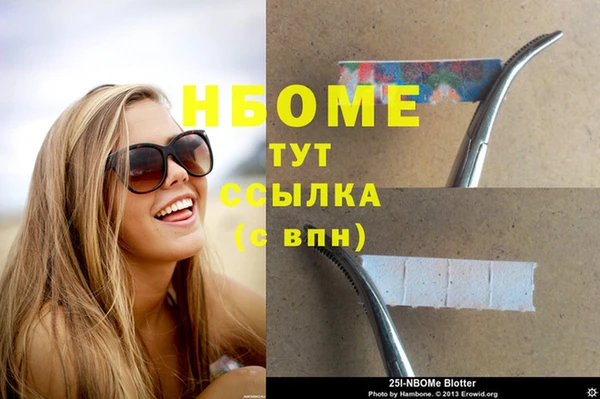 прущие грибы Новодвинск