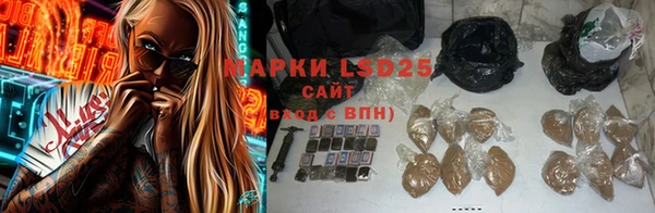 прущие грибы Новодвинск