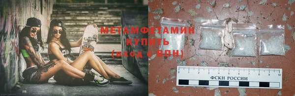 прущие грибы Новодвинск