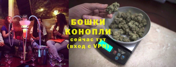 spice Новозыбков