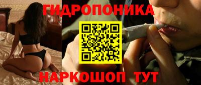 Альфа ПВП Сланцы