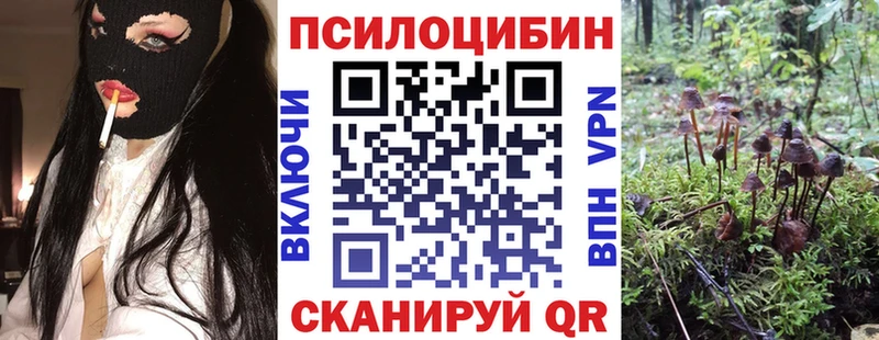 что такое наркотик  Слободской  Галлюциногенные грибы MAGIC MUSHROOMS 